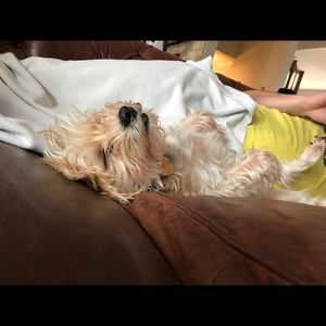 Meet your Posher, Julie